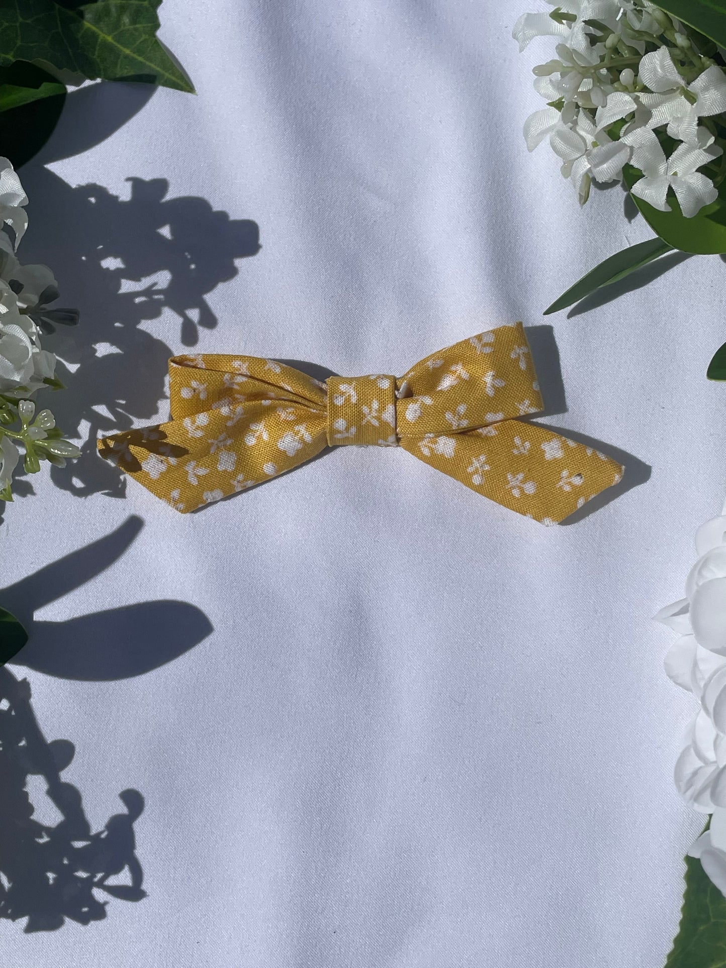 Dog hair bows
